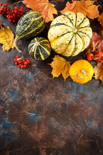 Pequeñas calabazas decorativas