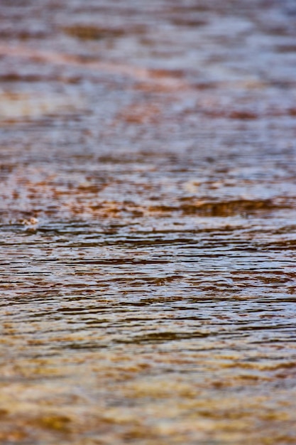 Pequeñas capas de terraza en Yellowstone junto a la escorrentía de la piscina