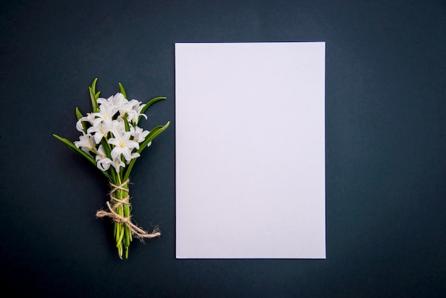 Pequeñas flores blancas de primavera Chionodoxa y un trozo de papel sobre un verde oscuro