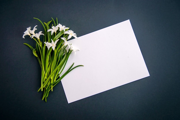 Pequeñas flores blancas sobre fondo verde oscuro