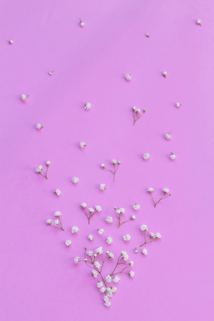 Pequeñas flores blancas en una vista superior de fondo rosa claro