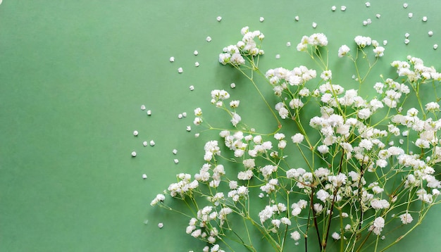 Foto pequenas flores brancas de gipsófila em fundo verde pastel dia das mulheres, dia das mães, dia dos namorados, dia dos namorados.