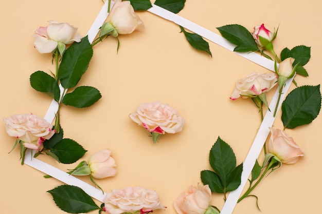 Pequenas flores brancas e cor-de-rosa de uma rosa com folhas verdes jovens encontram-se em torno de uma moldura branca vazia sobre um fundo bege pastel. conceito de modelo de maquete mínimo floral para férias de primavera