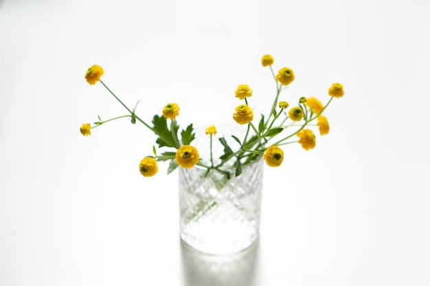 Pequeñas flores de ranúnculos amarillos en florero de vidrio