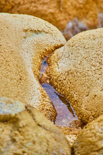 Pequenas formações rochosas e alcalinas no gêiser de Yellowstone