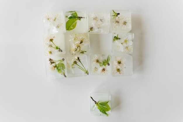 Pequeñas hojas y flores congeladas en cubitos de hielo