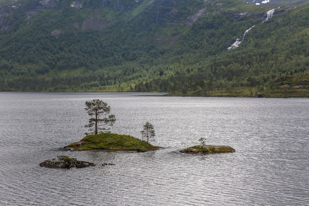 Pequeñas islas en los fiordos noruegos