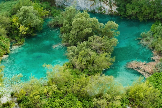 Pequeñas islas verdes entre el agua turquesa del lago en reserva