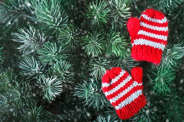 Pequenas luvas de malha na árvore de Natal.