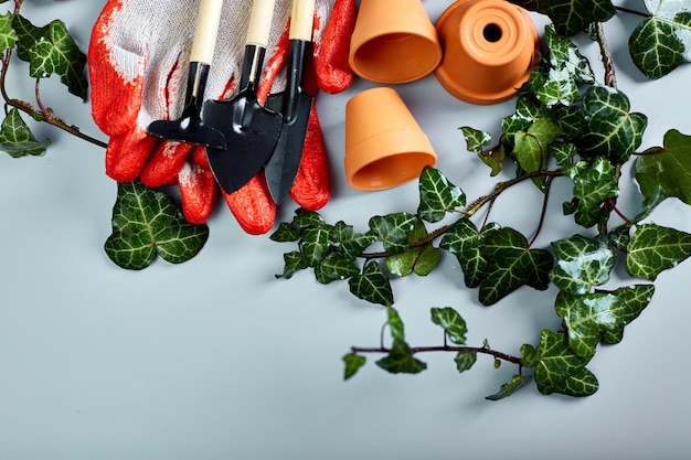 Foto pequeñas macetas de cerámica guantes herramientas de jardinería y hojas verdes