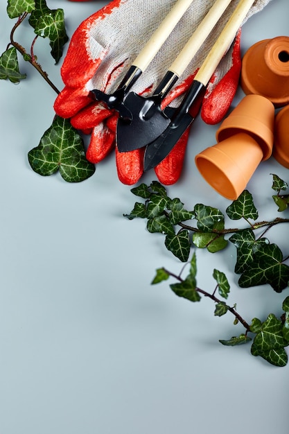 Pequeñas macetas de cerámica guantes herramientas de jardinería y hojas verdes