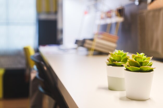 Foto pequeñas macetas de hojas verdes en mesa de trabajo