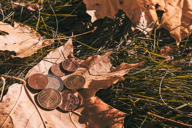 Pequenas moedas de euro no contexto das folhas de outono