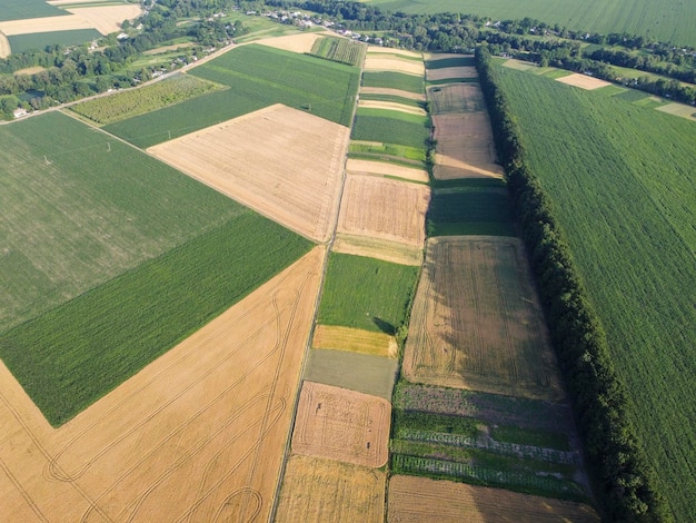 Pequenas parcelas de terra são semeadas com diferentes culturas Terras agrícolas