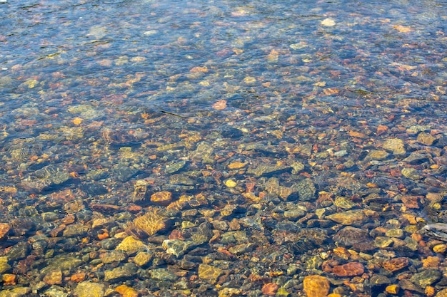 Pequeñas piedras en el fondo del río bajo una capa de agua clara Fondo de piedras Textura de agua y piedras