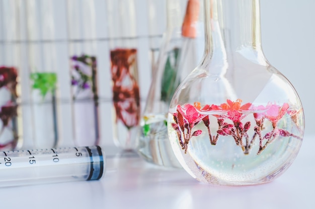 Foto pequeñas plantas en probeta para investigación en biotecnología y medicina.