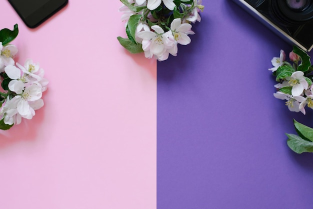 Pequeñas ramas de flores de manzana teléfono y cámara sobre fondo rosa y morado con espacio de copia o borde