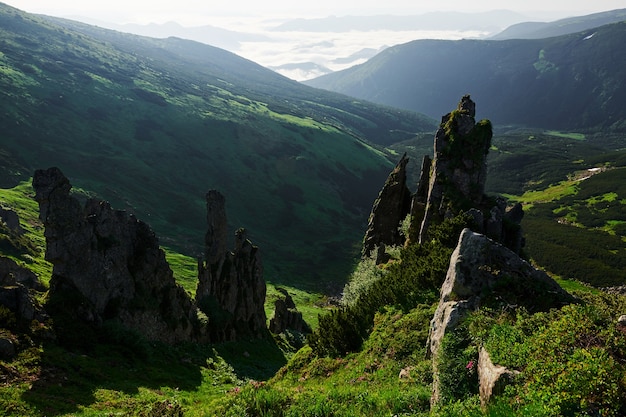 Pequeñas rocas afiladas. Majestuosas montañas de los Cárpatos. Precioso paisaje. Vista impresionante.