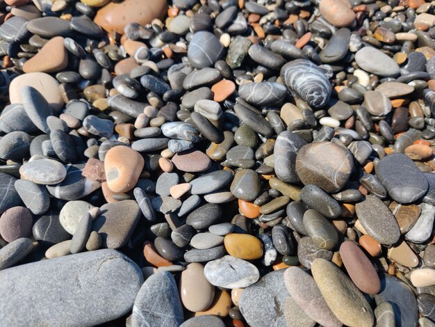 Foto pequeñas rocas a lo largo de la costa