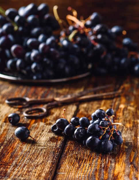 Pequeñas uvas de vid azul con tijeras oxidadas y uvas