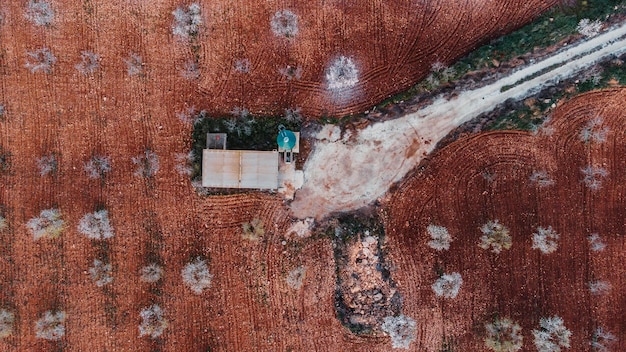 Pequeno almacen rodeado de almendros en flor