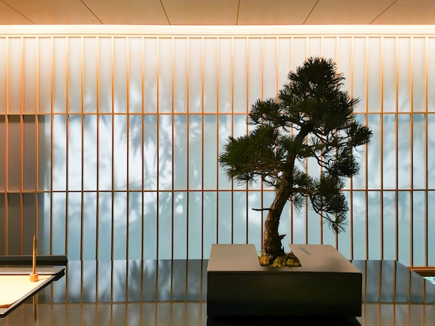 Pequeño árbol en el mostrador de recepción con estilo natural. Mostrador moderno hotel japonés.