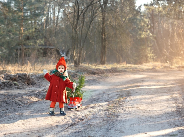 Pequeño árbol de Navidad del bosque en su coche de juguete está siendo conducido por un niño a lo largo del camino.