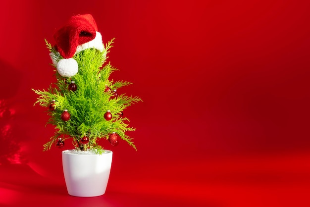 Pequeño árbol de Navidad con decoración de fondo rojo en un espacio de copia de sombrero de santa