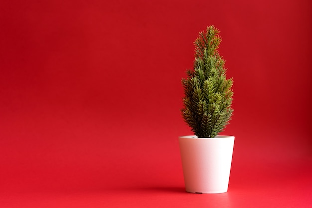 Pequeño árbol de Navidad sobre un fondo rojo.