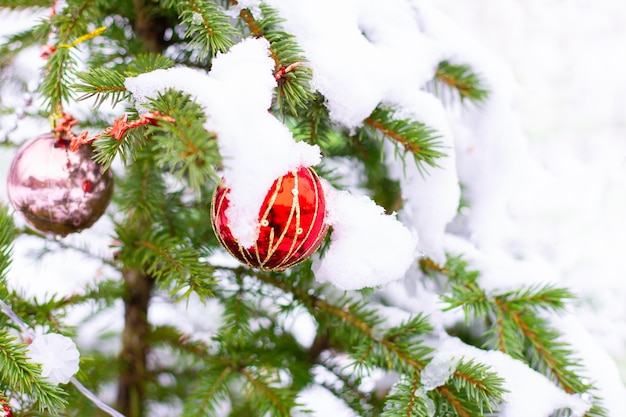 Pequeño árbol de Navidad verde cubierto de nieve. Vacaciones de invierno, símbolo de Navidad y Año Nuevo.