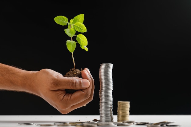 Foto pequeño árbol y pila de monedas indias