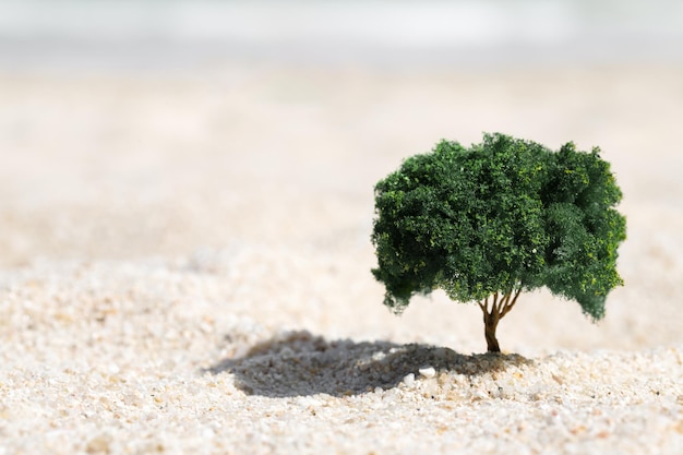 Pequeño árbol que crece en la arena del desierto Concepto de supervivencia