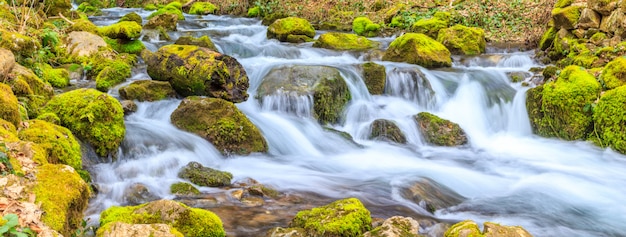 Un pequeño arroyo con una cascada y rocas cubiertas de musgo en primavera