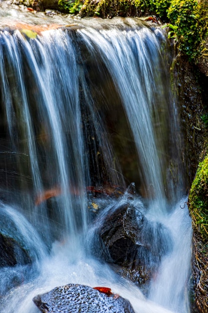 Pequeño arroyo y cascada entre la vegetación de musgo y las rocas de la selva tropical de Brasil