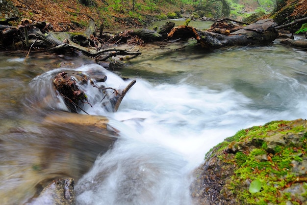 Un pequeño arroyo fluye con cascada y piedras cubiertas de musgo alrededor del árbol caído yace sobre el agua