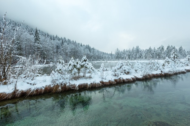 Pequeño arroyo de invierno con árboles nevados en la orilla.