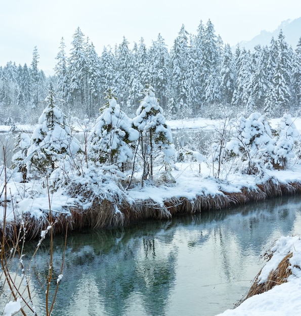 Pequeño arroyo de invierno con árboles nevados en la orilla.