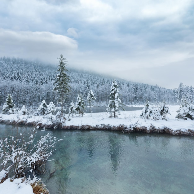 Pequeño arroyo de invierno con árboles nevados