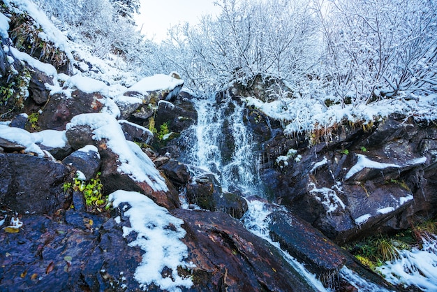 Pequeño arroyo rápido entre pequeñas piedras mojadas y fría nieve blanca en las pintorescas montañas de los Cárpatos en la hermosa Ucrania y su fantástica naturaleza