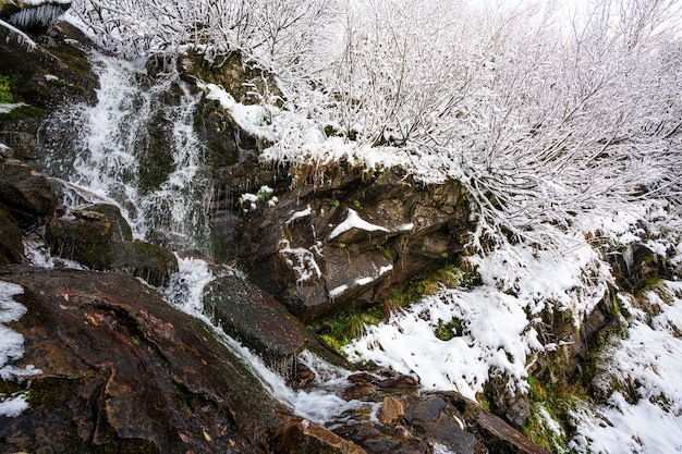 Pequeño arroyo rápido entre pequeñas piedras mojadas y fría nieve blanca en las pintorescas montañas de los Cárpatos en la hermosa Ucrania y su fantástica naturaleza