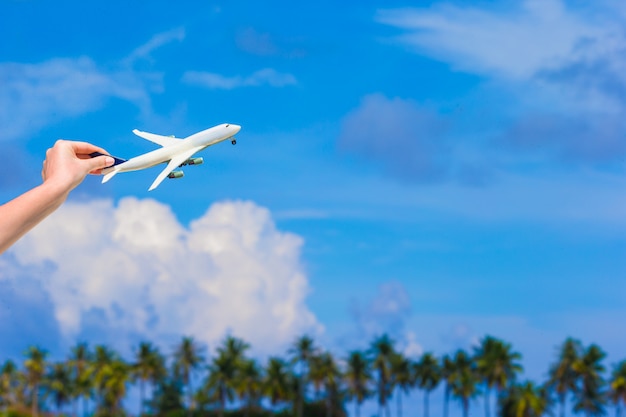 Pequeño avión blanco de mar turquesa y palmeras