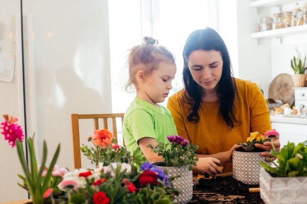 Pequeño ayudante ayuda a la madre mientras planta flores en casa