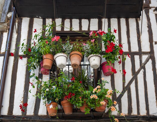 Pequeno balcão adornado com multidão de macetas y tiestos con plantas en una casa tradicional de madera en la hermosa villa de la Alberca Espana