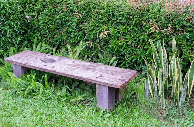 Pequeno banco de madeira junto aos arbustos para descanso no jardim das traseiras.