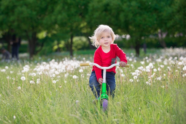 Pequeño bebé en bicicleta en un prado verde