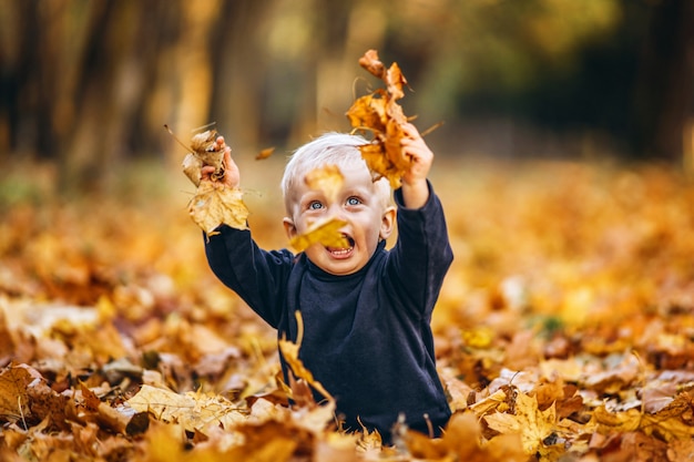 El pequeño bebé lindo se divierte al aire libre en el parque en otoño.