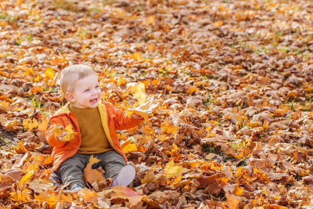 Pequeño bebé en el soleado parque de otoño