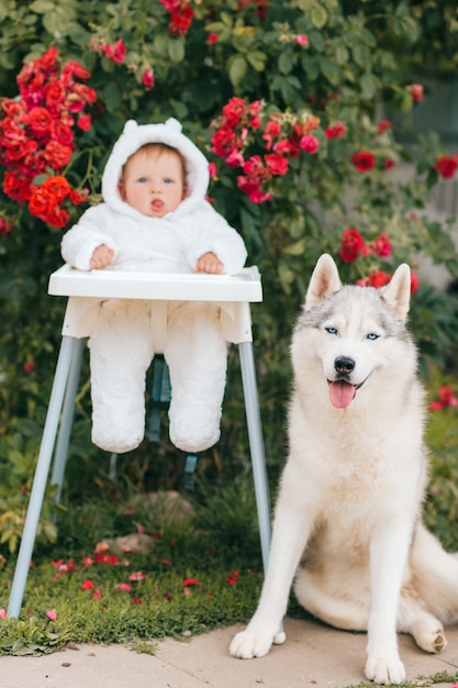 Pequeño bebé en traje de oso con adorable retrato de cachorro husky