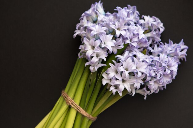 Pequeno buquê de jacintos de flores de primavera azul