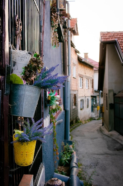 Pequeño callejón en la ciudad con flores y casas urbanas